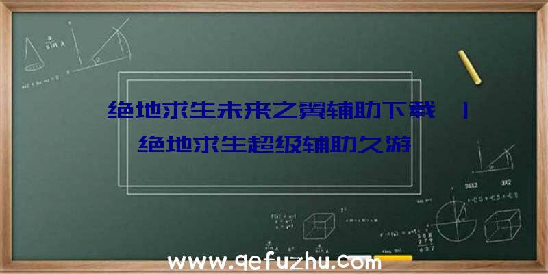 「绝地求生未来之翼辅助下载」|绝地求生超级辅助久游